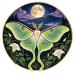 Luna Hill